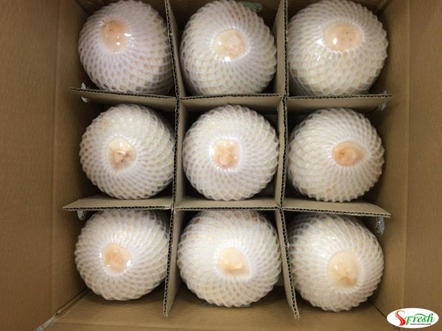 Golden Tropic Coconut Product