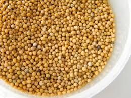 Industrial Grade Mustard Seeds