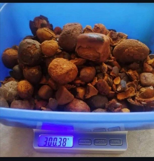 Premium Natural Cattle Extract