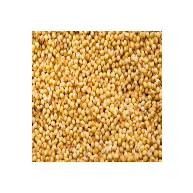 Yellow Millet 2