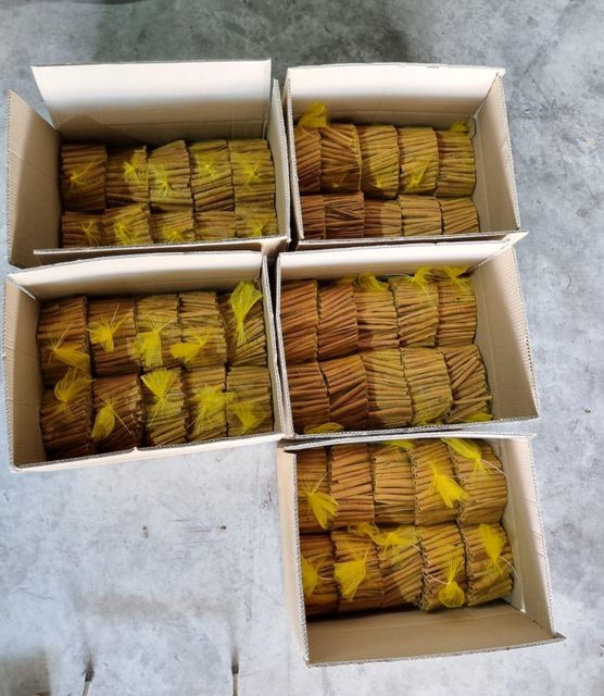 Cigar Cassia Product 2