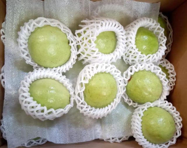 Guava Product 2