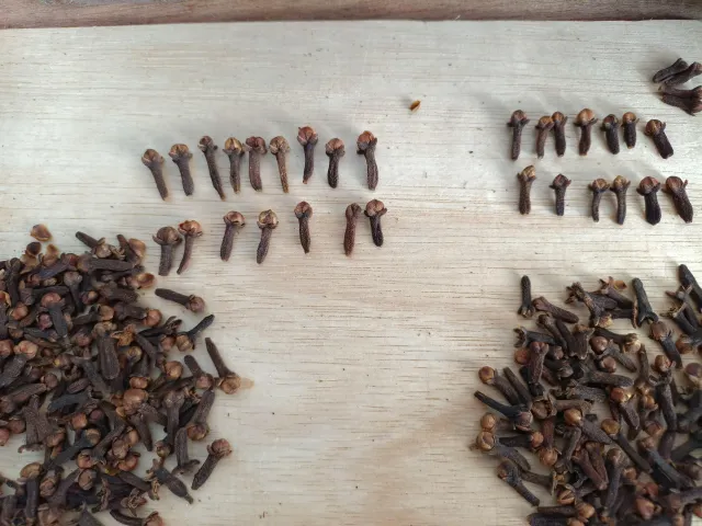 Cloves Lalpari Indonesia ready for packaging