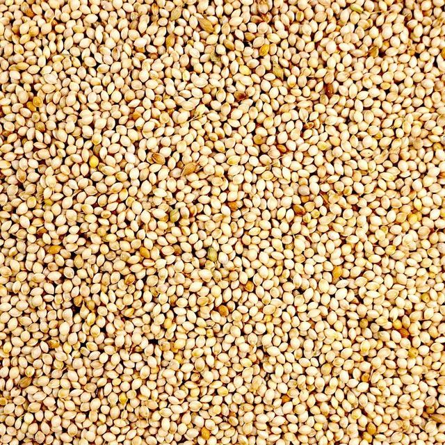 Bulk Pearl Millet Packaging