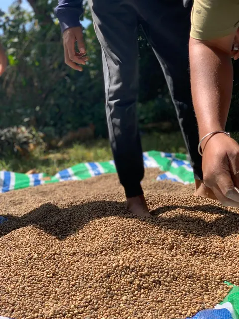 Arabic Coffee Beans Bag Front