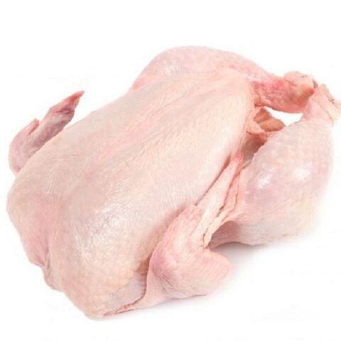 Frozen Chicken Paws