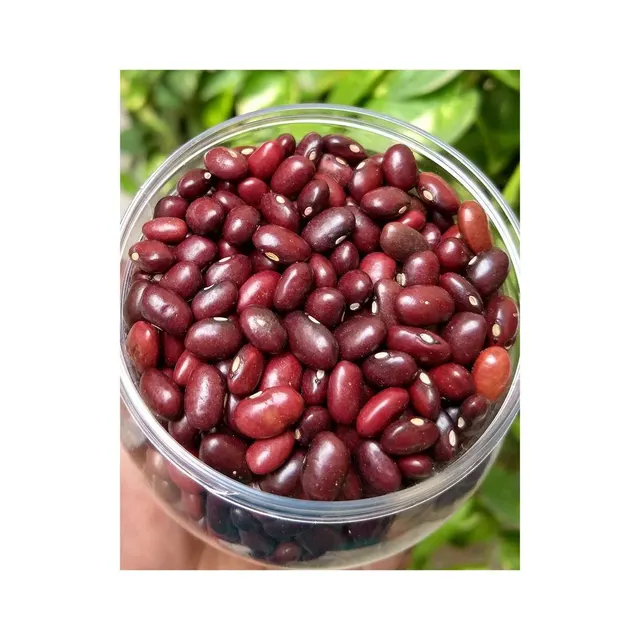 Close up of Dark Red Kidney Beans for Wholesale - Image 5