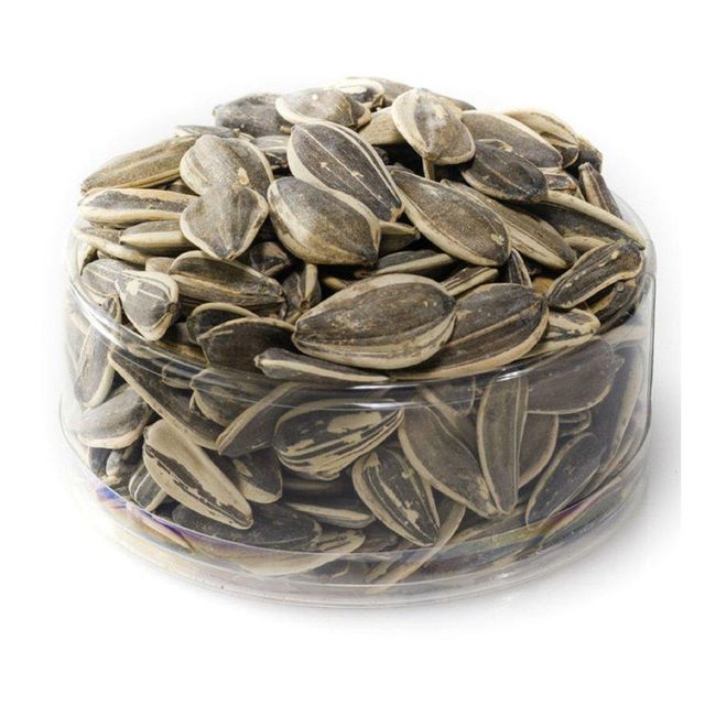 High Protein Sunflower Seeds - Close-up