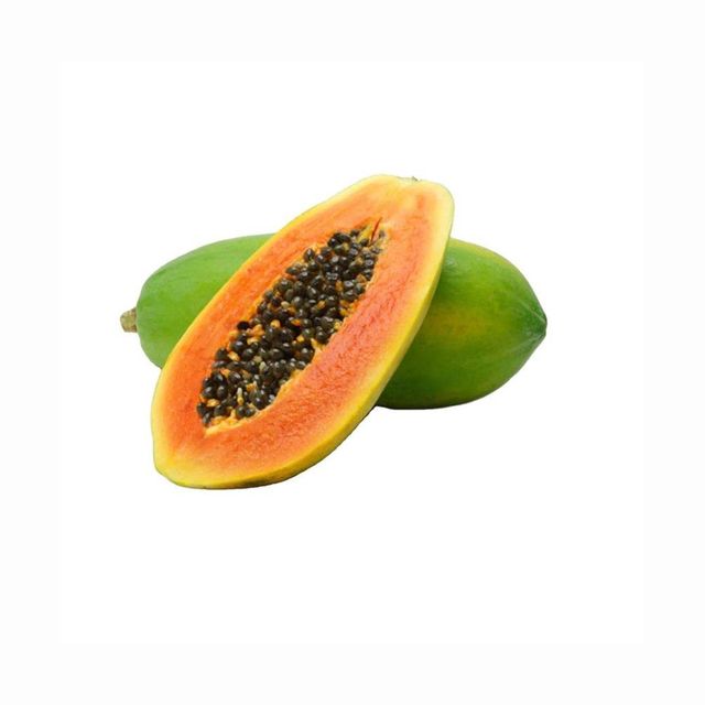 1 Foot Long Papaya Hybrid - Fresh and Sweet