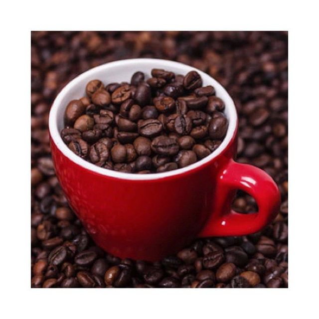 Large Scale Robusta Beans