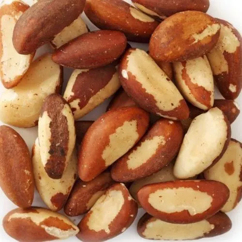 Brazil Nuts 4