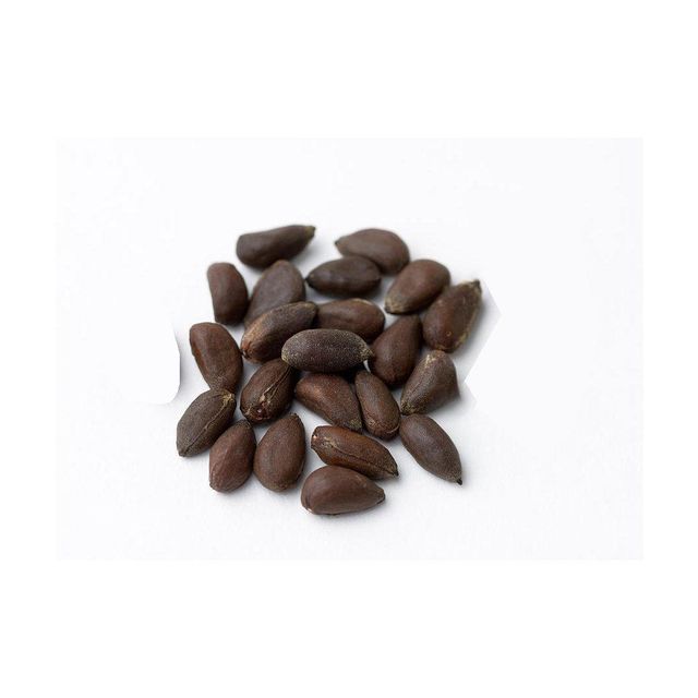 Premium Cotton Seeds 2