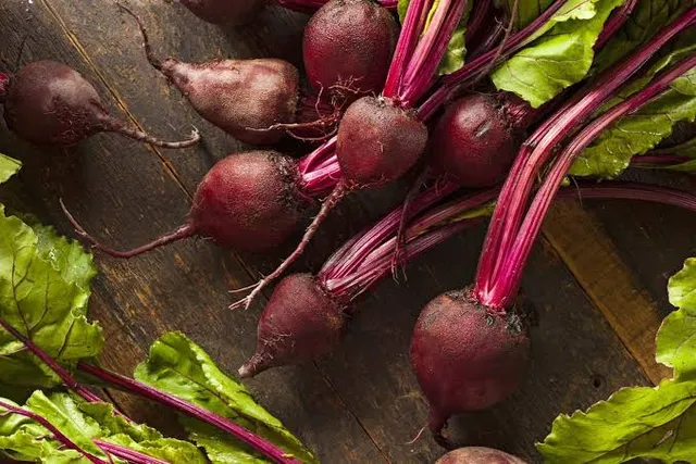Healthy Beetroot Vegetable - Image 3