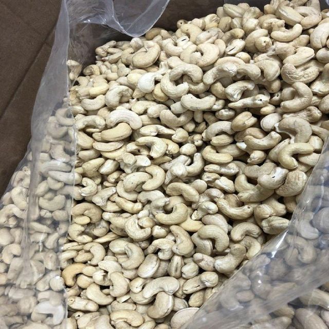 Organic Cashew Harvest