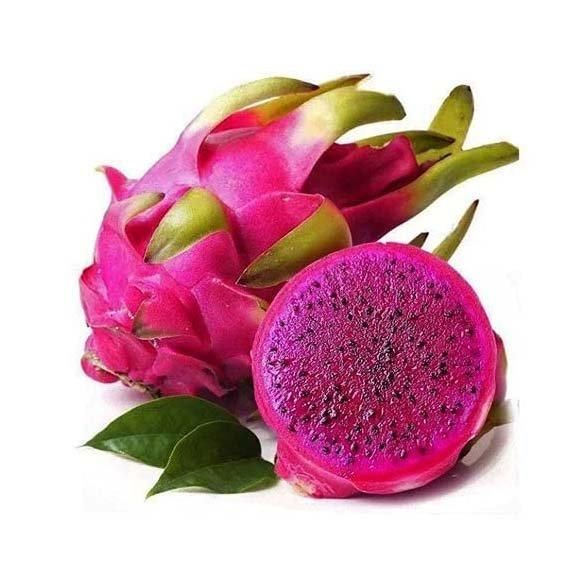 Fresh dragon fruit