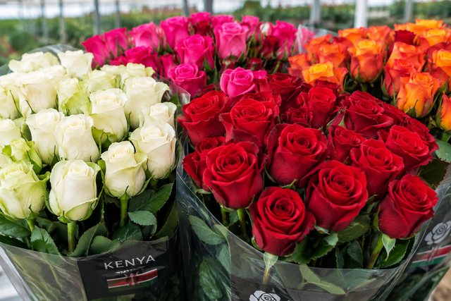 Premium Roses Bouquet