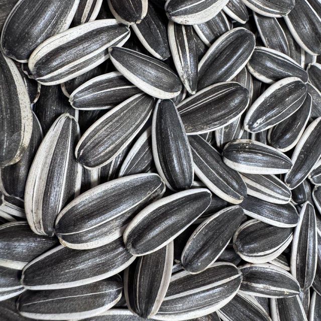 Fresh Dried Black Sunflower Seeds