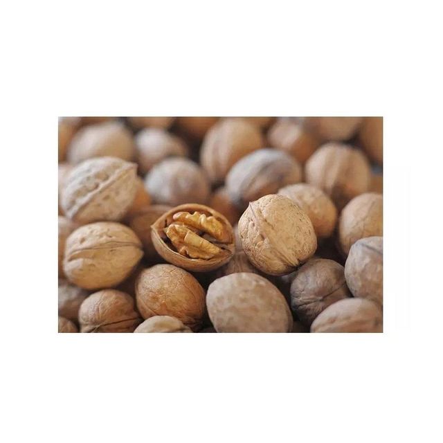 Walnuts Image 4
