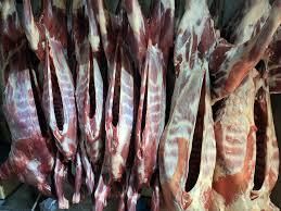 Fresh Frozen Goat/Mutton Product 1