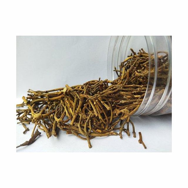 Cloves Stem Image 2
