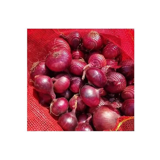 Delicious Fresh Red Onion