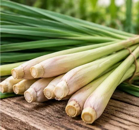 Bottles of Lemon grass Oil 70% on wooden background