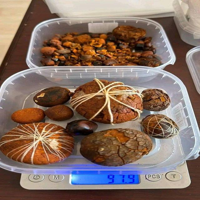Ox Gallstone