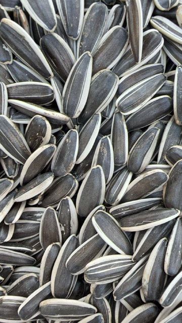 Roasted Sunflower Seeds