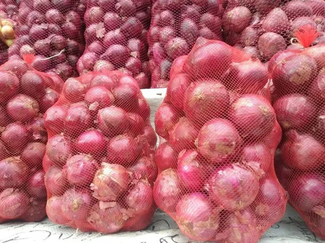 Fresh red onions neatly arranged