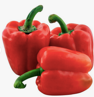 Habanero Pepper
