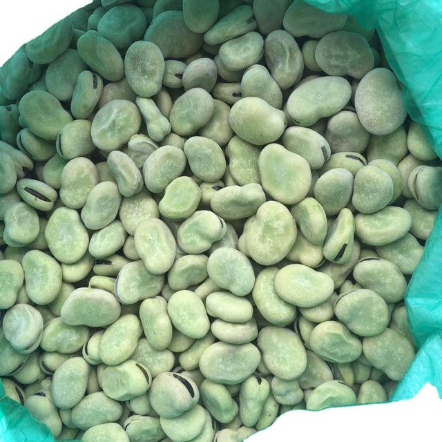 Frozen Broad Beans IQF - Ready for Use