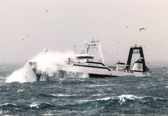 Sea Expertise