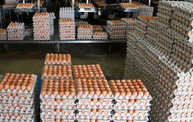 Brown and White Chicken Eggs