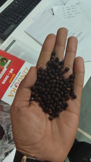Black Pepper Product Image 2