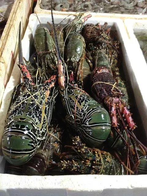 Frozen Whole Lobster