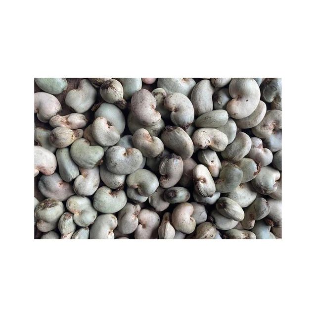 Raw Cashew Nuts