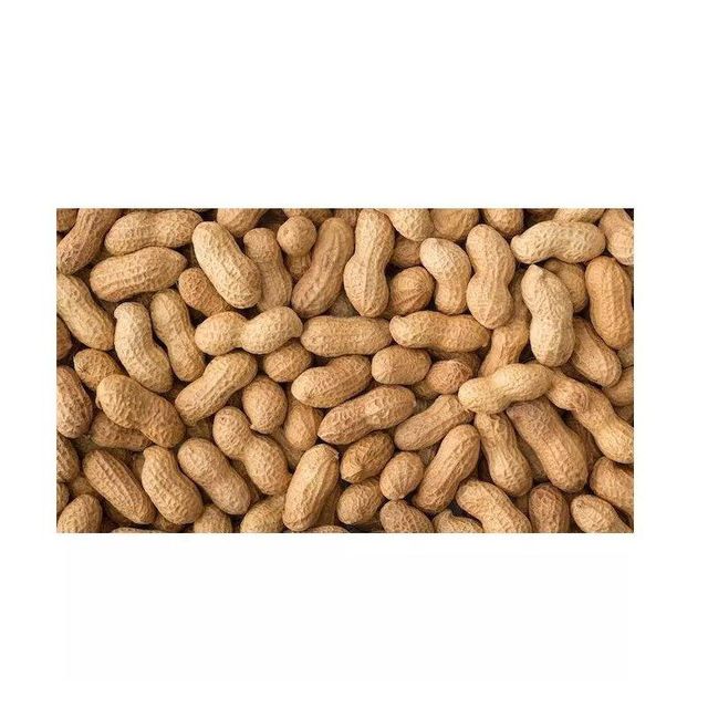 Salted Peanuts - Classic Variety