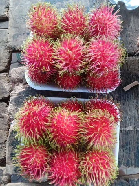 Fresh Rambutan