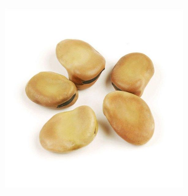 Organic Dried Broad Beans