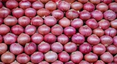 Onion Product 2