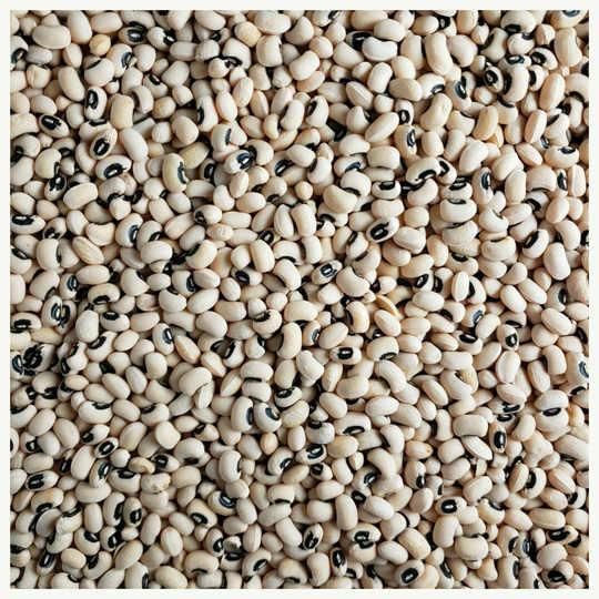 Refined Black Eyed Peas Beans
