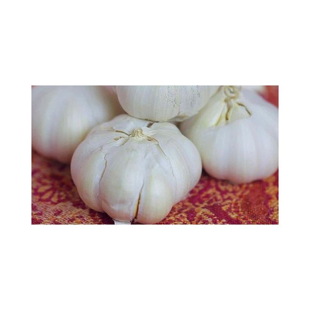 Fresh peeled garlic