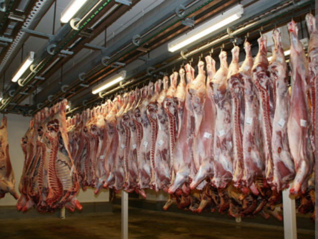 Frozen Meat Product 1