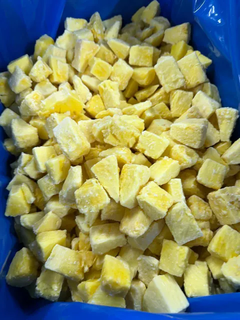 Close-up of Frozen Pineapple Chunks