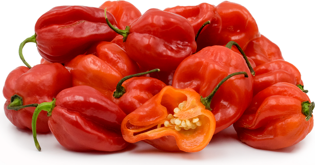 Scotch Bonnet Chili Product