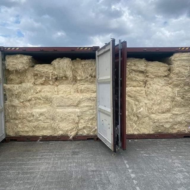 Raw Sisal Fiber Image 3
