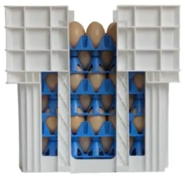 Package design for Fresh Brown Chicken Eggs