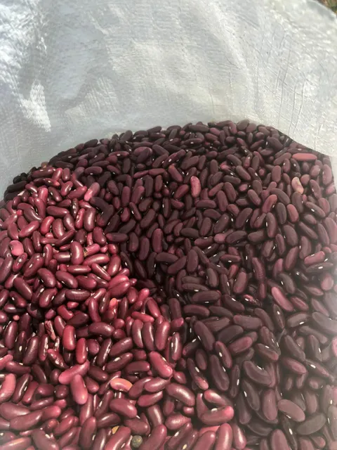Dried Red Kidney Beans