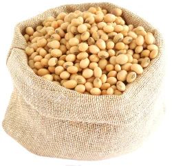 Soybean Flour