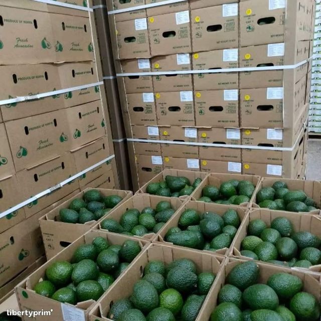 Ripe Tropical Hass Avocado